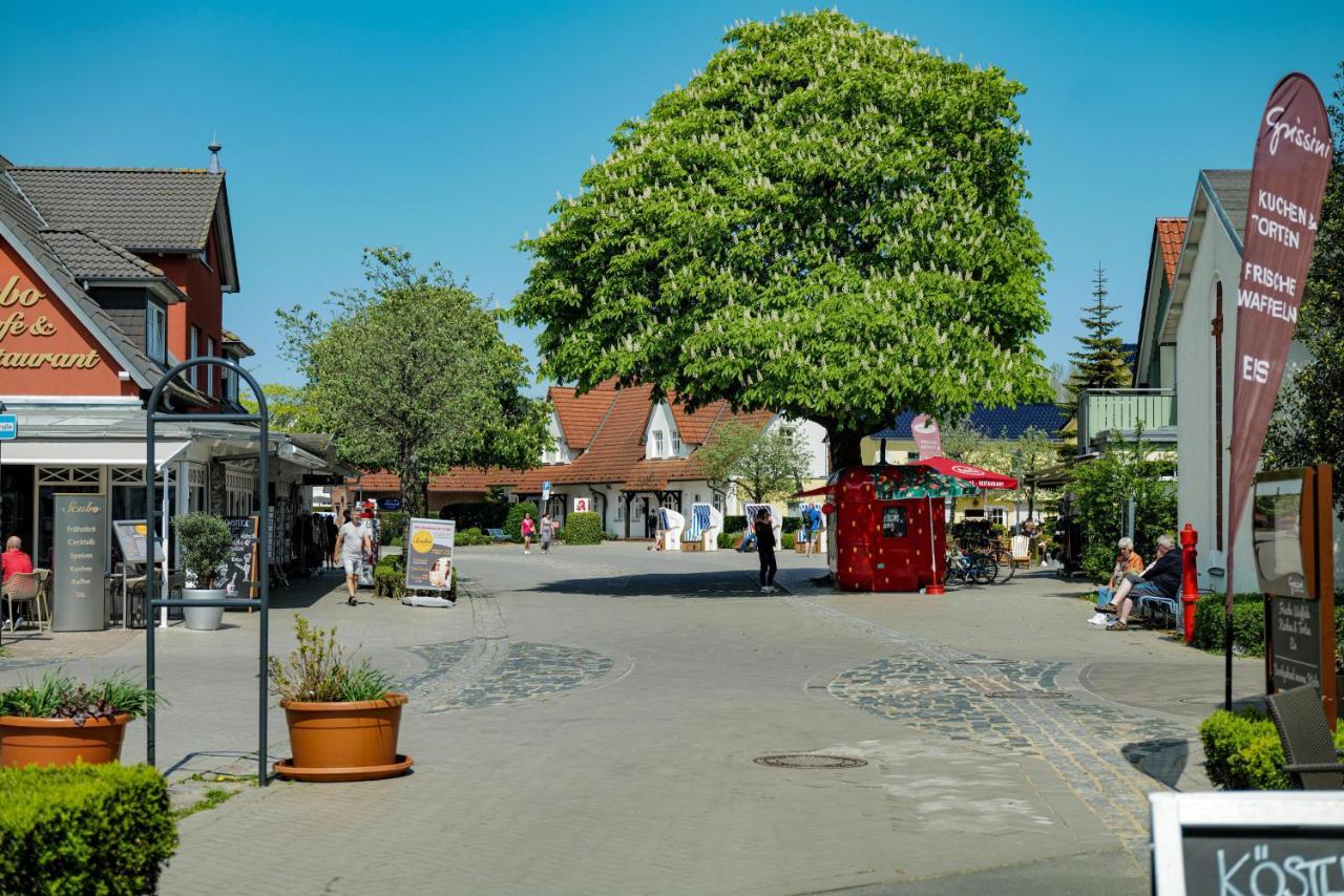 Ferienwohnungen Meerfarbig Zingst - Haustierfrei -Terrasse Mit Strandkorb Oder Balkon - E-Ladesaeule - Parkplatz - Wlan - Fahrradschuppen - Waschtrockner - Ruhig Und Zentral - Nichtraucher ภายนอก รูปภาพ